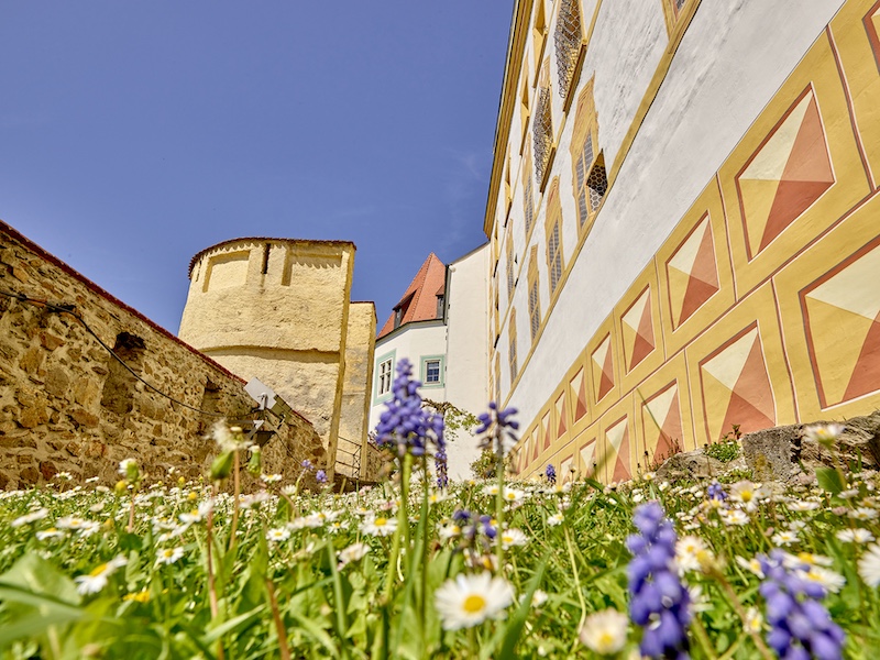 Frühling Foto pedagrafie 